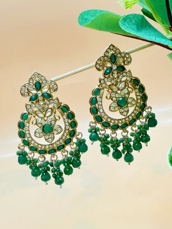 EARRINGS ER-219