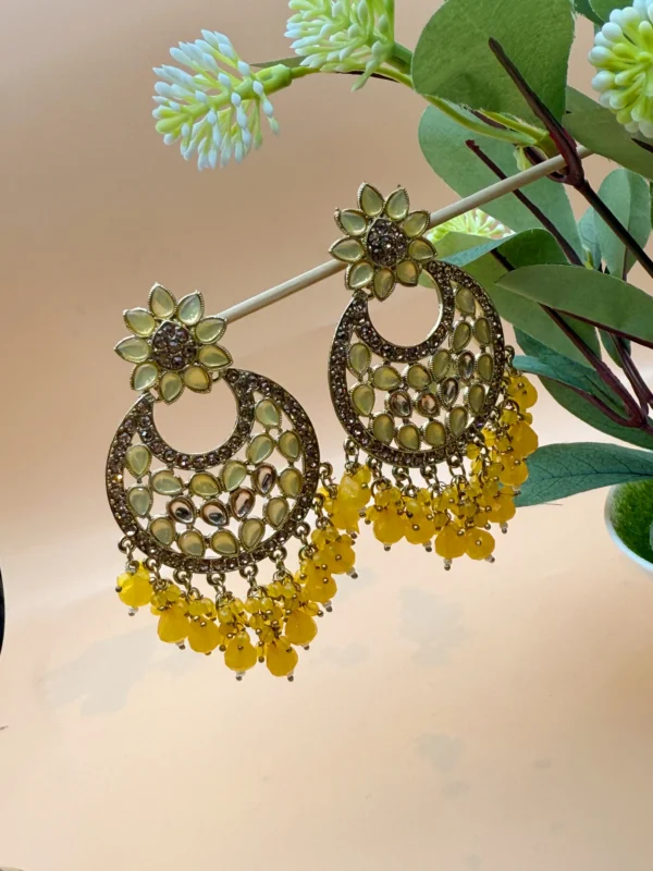EARRINGS ER-222