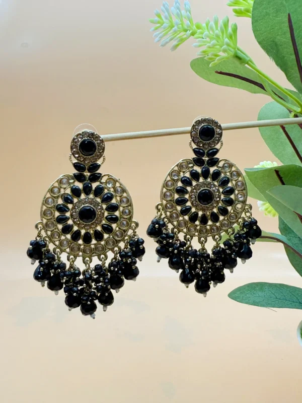 EARRINGS ER-224