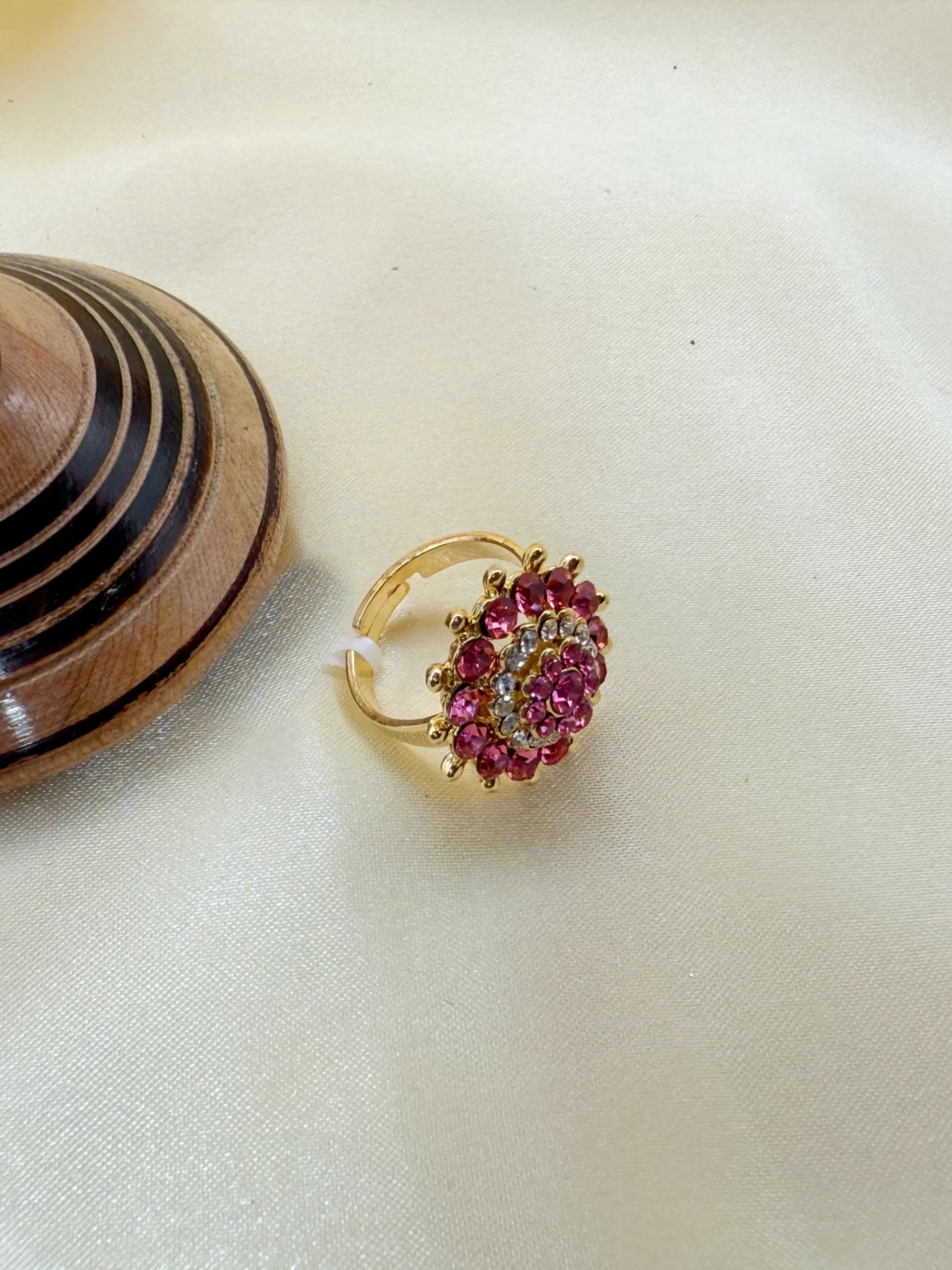 VANDANA PALA 233 (3) VANDANA PALA 233 (3)