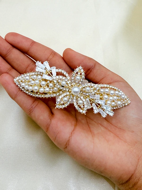 VANDANA PALA 294 (2) VANDANA PALA 294 (2)