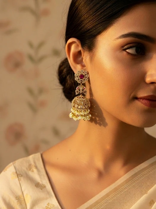 VANDANA PALA 556 (1) VANDANA PALA 556 (1)